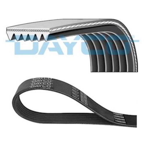 Dayco cinghia scanalata adatto - dayco,